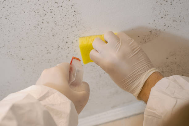 Forensic Mold Investigation in Goldenrod, FL